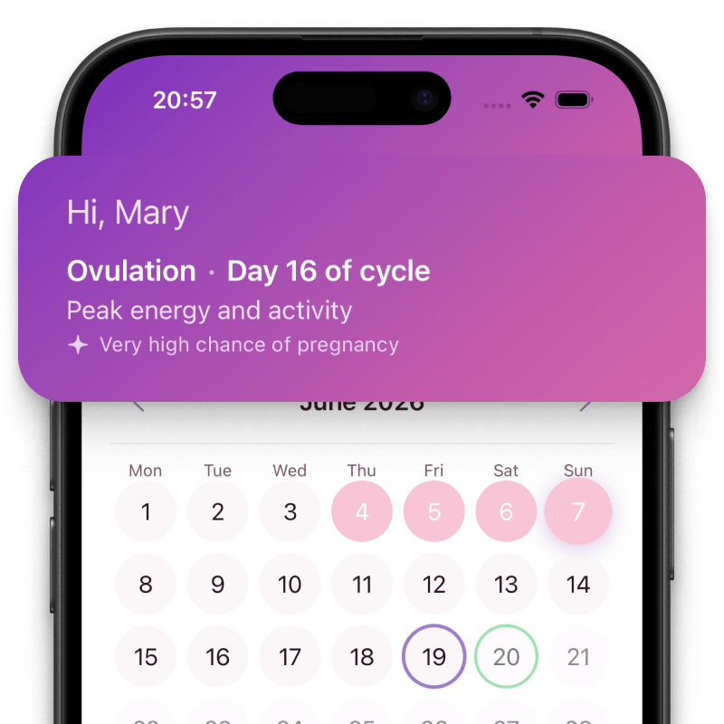 Elova statistics screen showing cycle phase and cycle summary